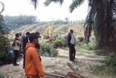 Yayasan Masyarakat Peduli Hutan Soroti Dugaan Penghilangan Barang Bukti di Areal PT Arara Abadi