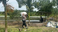 Dari Lahan Produktif Untuk Negeri: Propam Polsek Koto Gasib Kawal Ketahanan Pangan Nasional