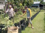 Dukung Ketahanan Pangan Nasional, Bhabinkamtibmas Polsek Pasir Penyu Ajak Warga Manfaatkan Pekarangan untuk Cabai dan Terong