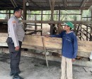 Dukung Asta Cita Presiden, Kapolsek Rengat Barat Perintahkan Bhabinkamtibmas Monitoring Pekarangan Pangan Bergizi