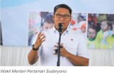 Wamentan Sudaryono Beberkan Strategi Jaga Harga Beras Stabil