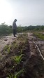 Polsek Minas Lakukan Pengecekan Perkembangan Jagung Pipil di Lahan Ketahanan Pangan Kampung Mandiangin