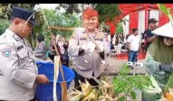 Polsek Kampar Bersama Polres Kampar Gelar Panen Jagung Serentak di Desa Ranah Singkuang