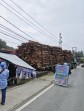 Mobil Truk Angkut Kayu Akasia Geruduk Rumah Warga di Minas