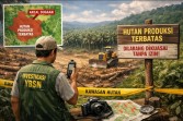 Yayasan Bertuah Sakti Nusantara Temukan Dugaan Penguasaan Lahan di Kawasan Hutan Produksi Terbatas di Rokan Hulu