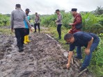 Polsek Minas Laksanakan Penanaman Ulang Jagung untuk Dukung Swasembada Pangan 2026
