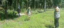 Pembersihan Lahan Penanaman Jagung Kuartal II di Kampung Rantau Bertuah, Bhabinkamtibmas Polsek Minas Lakukan Pengecekan dan Persiapan Lahan