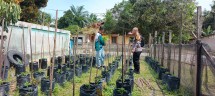 Bhabinkamtibmas Sungai Lala Dorong Warga Kembangkan Budidaya Cabe Rawit untuk Ketahanan Pangan
