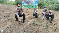 Kompol Syahrizal Pimpin Penanaman Jagung Pipil 0,5 Hektare di Minas Barat Dukung Swasembada 2026