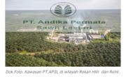 Negara Jangan Kalah! LSM KOREK RIAU Desak Penegakan Hukum Terkait Dugaan Penyerobotan 10.000 Ha Hutan oleh PT APSL