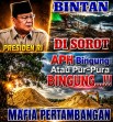 Pak Kapolri, Rudi di Bintan Bukan Hantu. Dia Punya Ekskavator, Stok Pasir Miliaran, dan Tidak Pernah Ditangkap. Di Mana Polisi?