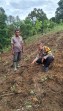 Polsek Minas Cek Kesiapan Lahan Program Ketahanan Pangan Jagung Pipil di Minas Jaya