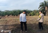 Polsek Minas Cek Kesiapan Lahan Jagung Kuartal II di Kampung Rantau Bertuah Untuk Dukung Ketahanan Pangan Nasional