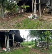 Diduga Ada Aktivitas Penampungan dan Pengolahan Timah Ilegal di Air Duren, Warga Minta Aparat Bertindak