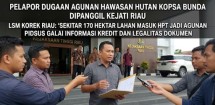 Pelapor Dugaan Agunan Kawasan Hutan KOPSA Bunda Dimintai Keterangan oleh Pidsus Kejati Riau