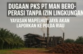 DUGAAN PKS PT MAN BEROPERASI TANPA IZIN LINGKUNGAN, YAYASAN MAPELHUT JAYA AKAN LAPORKAN KE POLDA RIAU