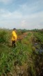 Polsek Minas Cek Perkembangan Jagung Pipil Usia 43 Hari di Lahan Ketahanan Pangan Kampung Mandiangin