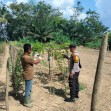 Dukung Ketahanan Pangan Nasional, Bhabinkamtibmas Polsek Pasir Penyu Dorong Warga Budidayakan Pare di Pekarangan Rumah