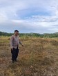Dukung Ketahanan Pangan Nasional, Bhabinkamtibmas Polsek Minas Cek Lahan Penanaman Jagung Kuartal II di Rantau Bertuah