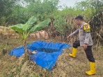 Kelompok Tani Minas Barat Siapkan Embung Air untuk Dukung Program Ketahanan Pangan Jagung