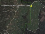 Plasma 20 Persen, Kepastian Hukum Nol Persen? Menelisik Dugaan Kebun Kas Desa di Kawasan Hutan
