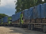PT Sumatera Sylva Lestari Diduga Kangkangi SK Menteri Kehutanan Nomor 85 Tahun 2026, Aktivitas Pemanenan Kayu Akasia Masih Berlangsung