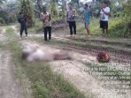 Ditemukan Pria Tanpa Identitas Meninggal Dunia di Kebun Warga di Minas Barat