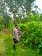 Bhabinkamtibmas Desa Pasir Bongkal Aktif Dukung Ketahanan Pangan Nasional, Warga Didorong Optimalkan Lahan Pekarangan