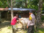 Bhabinkamtibmas Polsek Pasir Penyu Dorong Warga Manfaatkan Pekarangan untuk Perkuat Ketahanan Pangan