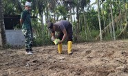 Dukung Ketahanan Pangan Nasional, Polsek Minas Tanam Bibit Jagung Pipil di Minas Jaya