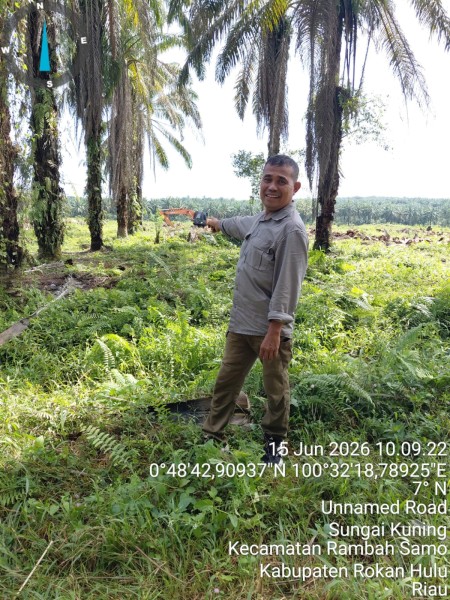 Darbi Sesalkan APH Dinilai Diam, Dugaan Replanting di Kawasan HPT Harus Segera Ditindak