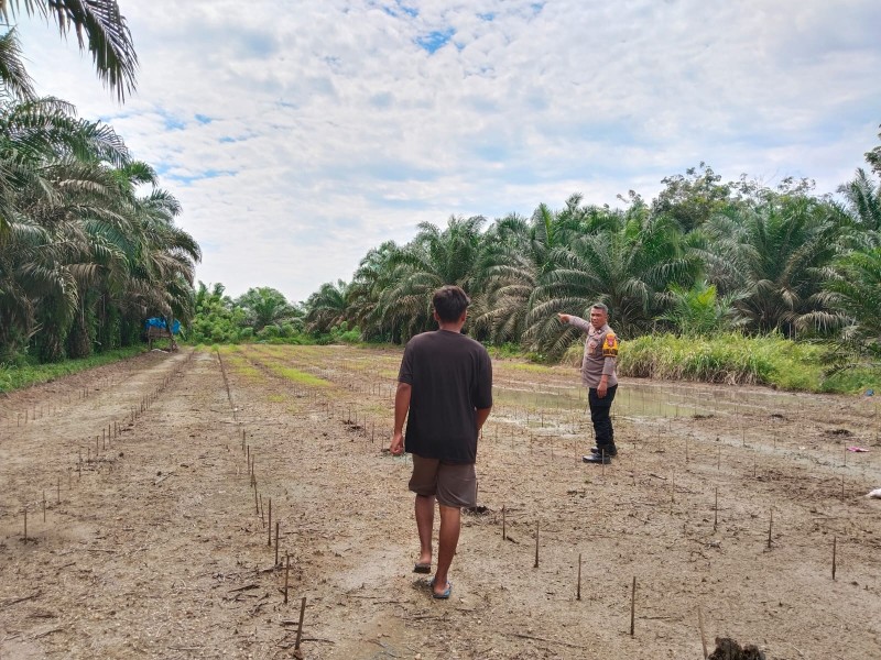 Polsek Pasir Penyu Dukung Ketahanan Pangan Nasional melalui Budidaya Jagung dan Cabai di Desa Pasir Batu Mandi