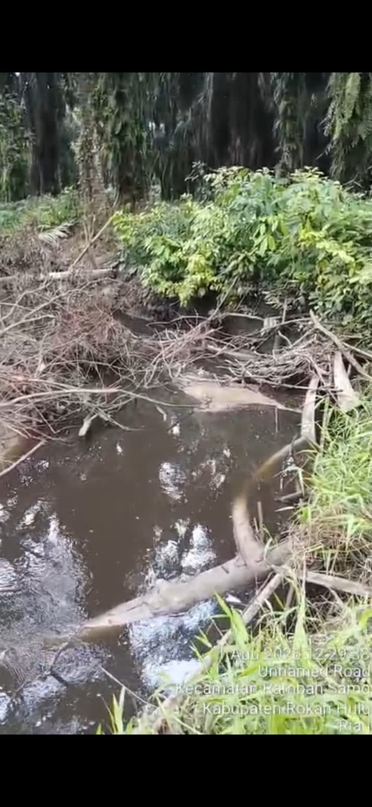 Yayasan MAPELHUT JAYA Desak DLH Rokan Hulu Turun Tangan, Aliran Sungai Ibur di Teluk Aur Hitam Pekat Diduga Tercemar Limbah PKS PT KSM