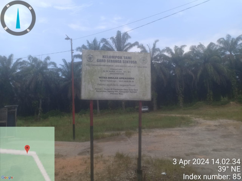 Diduga Tak Kantongi Izin, Yayasan Lingkungan Hidup Bertuah Sakti Nusantara Akan Gugat Kebun Di Areal HPT Desa Koto Garo 