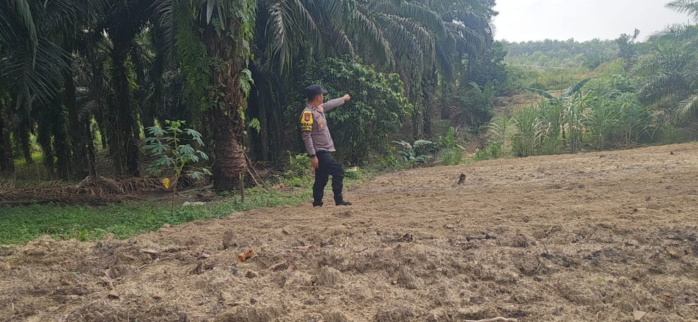 Polsek Minas Dampingi Persiapan Lahan Jagung Kuartal II, Kelompok Tani Minas Barat Bersihkan Lahan 0,5 Hektare