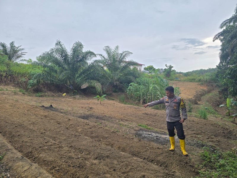 Bhabinkamtibmas Minas Barat Dampingi Kelompok Tani Bersihkan Lahan, Polsek Minas Dukung Program Ketahanan Pangan Nasional