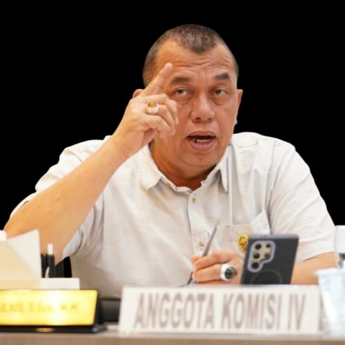 Kritik terhadap Tempo, NasDem Tekankan Sinergi Kebebasan Pers dan Tanggung Jawab