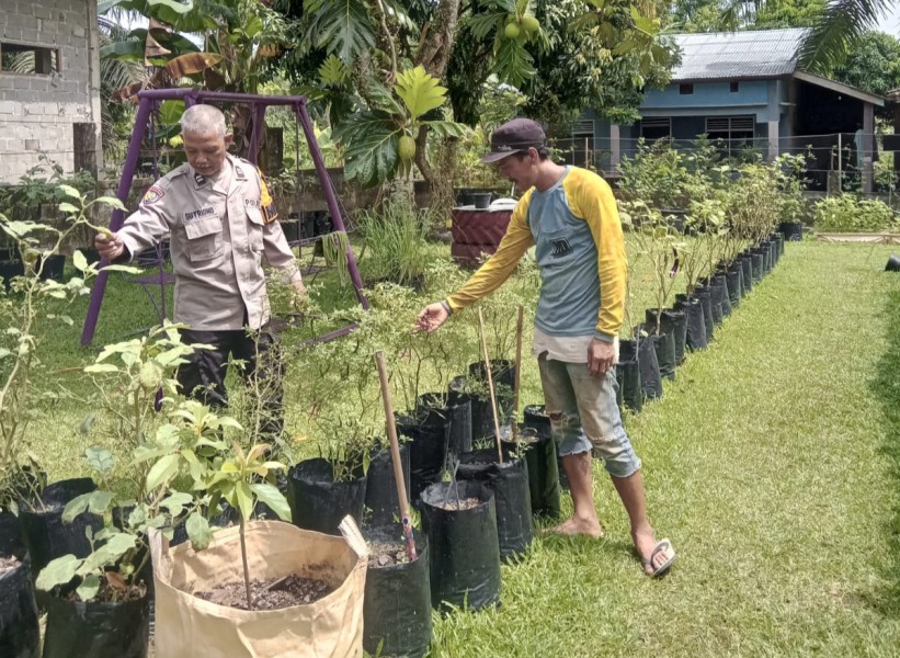 Dukung Ketahanan Pangan Nasional, Bhabinkamtibmas Polsek Pasir Penyu Ajak Warga Manfaatkan Pekarangan untuk Cabai dan Terong