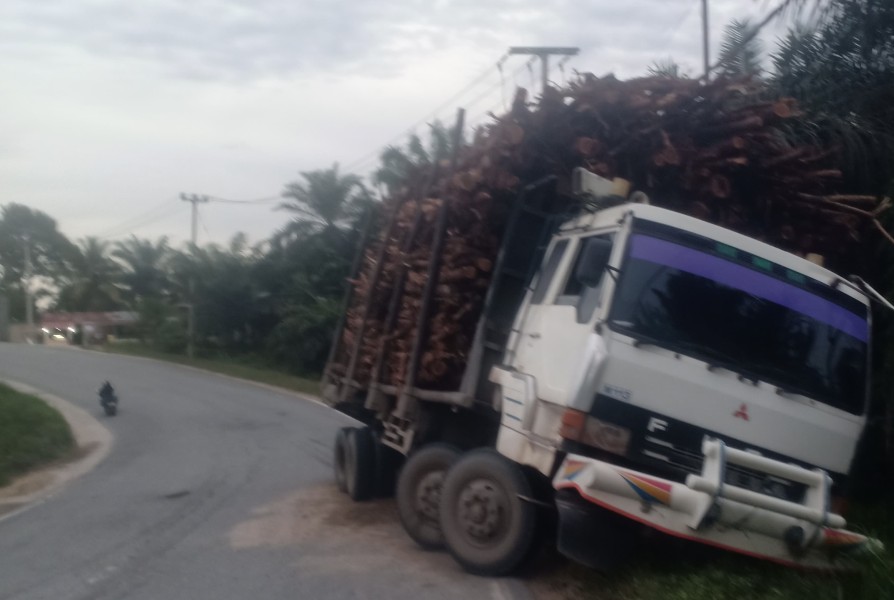 Yayasan Peduli Hutan dan Jalan Raya Desak Kapolda Riau: Jalan Raya Bukan Arena Balap Truk ODOL Saat Mudik Lebaran!