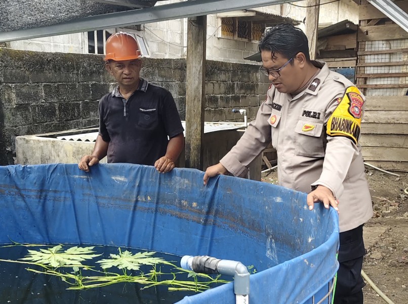 Bhabinkamtibmas Polsek Pasir Penyu Dampingi Kelompok Tani Ikan, Dukung Ketahanan Pangan Nasional