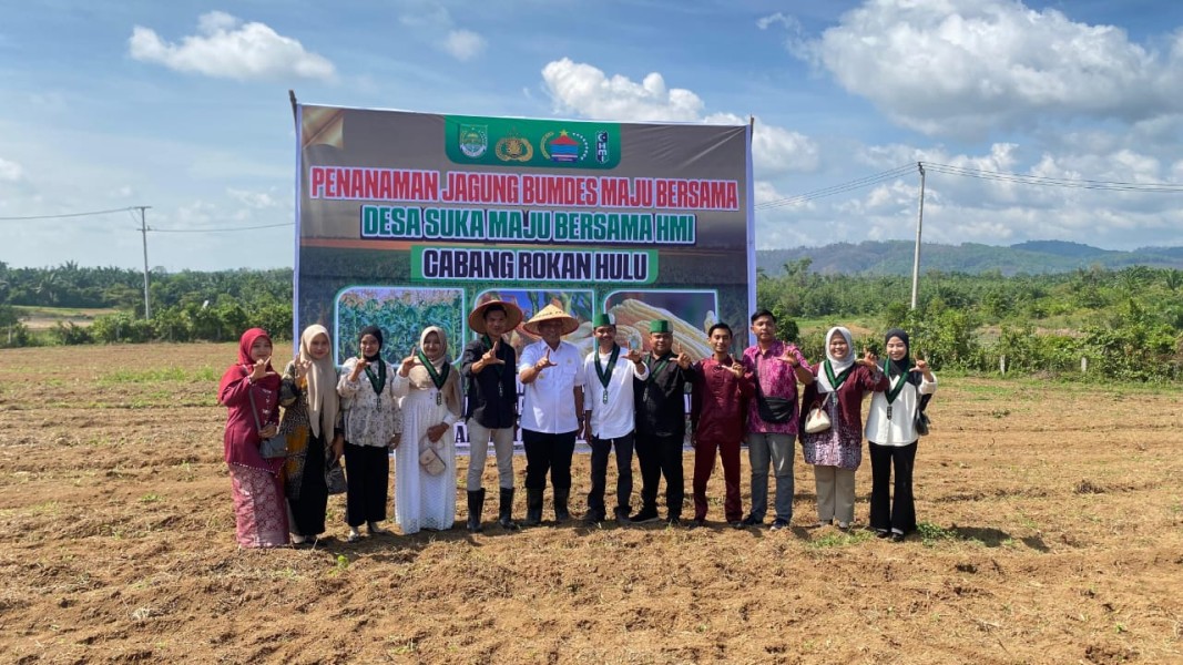 Penanaman Jagung BUMDes Suka Maju dan HMI Cabang Rokan Hulu, Bupati Anton Sampaikan Apresiasi