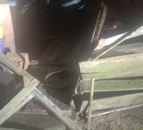 Rombongan Gajah Liar Kembali Masuk Kampung Dan Rusak Rumah Warga 