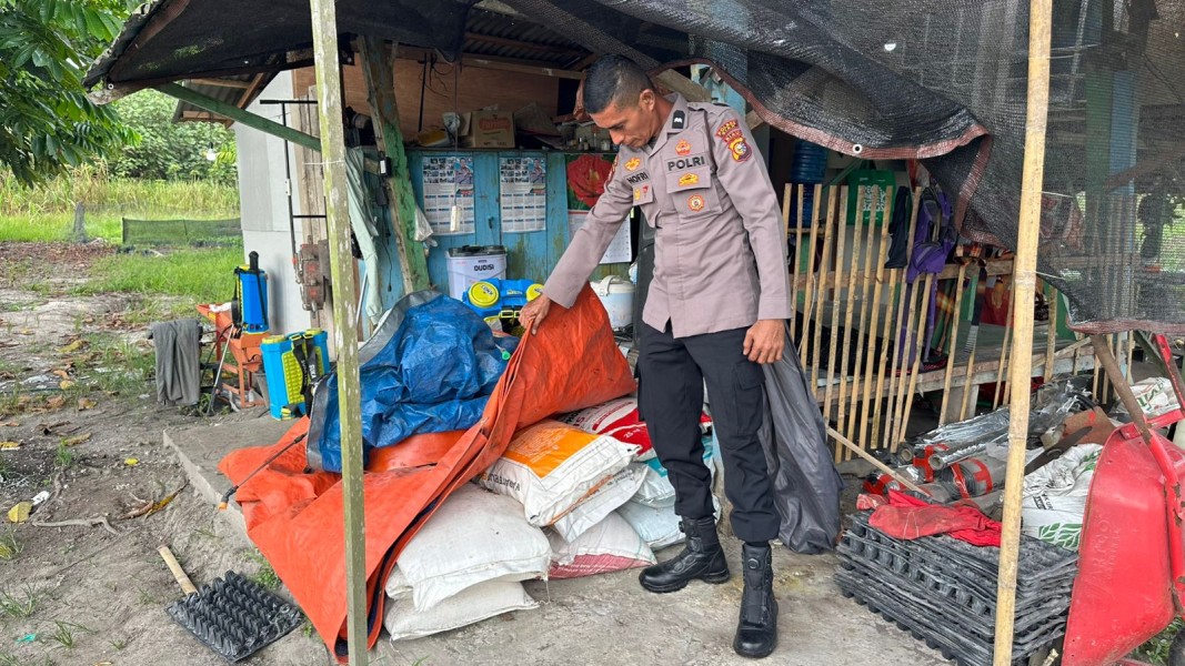 Perkuat Swasembada Pangan, Polsek Koto Gasib Dampingi Petani Jagung di Pangkalan Pisang