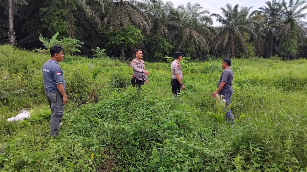 Wakapolsek Minas Pimpin Pengecekan Kesiapan Lahan 1 Hektare untuk Penanaman Jagung di Minas Barat