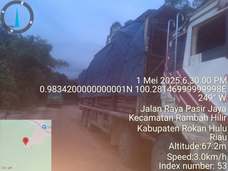 Investigasi Mapelhut Jaya Ungkap Dugaan Praktik 'Odol' Angkutan Akasia Milik PT JAYA LESTARI SUKSES di Riau