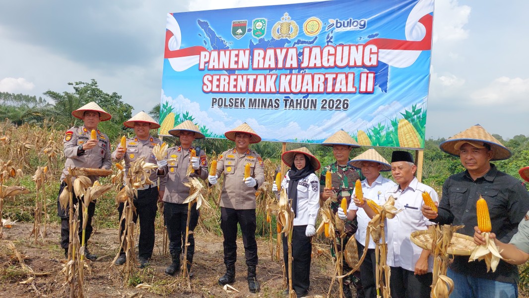 Panen Raya Jagung di Minas Perkuat Ketahanan Pangan, Polres Siak dan Warga Tunjukkan Sinergi Nyata