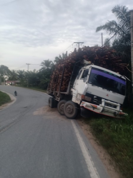 Yayasan Masyarakat Peduli Hutan dan Jalan Raya, apresiasi pemerintah akan tindak kendraan ODOL