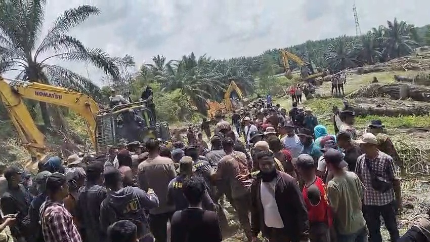 Penumbangan Kebun Sawit di Kawasan Hutan Produksi Berujung Ricuh, 4 Warga Diamankan