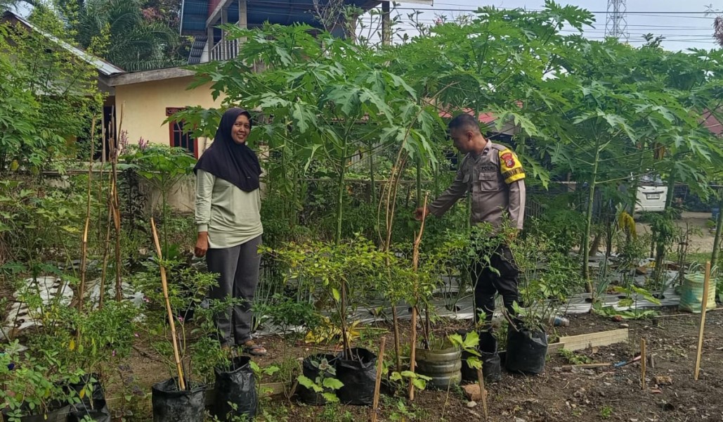 Polsek Pasir Penyu Dampingi KWT Bingke Kamboja, Kebun Pekarangan Produktif Jadi Penguat Ketahanan Pangan