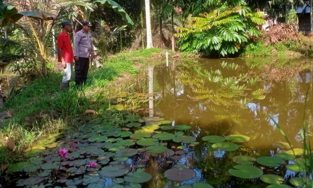 Dukung Ketahanan Pangan Nasional, Bhabinkamtibmas Desa Jatirejo Sambangi Pembudidaya Ikan Nila
